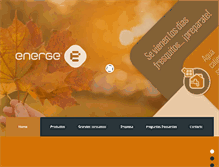 Tablet Screenshot of energe.com.ar